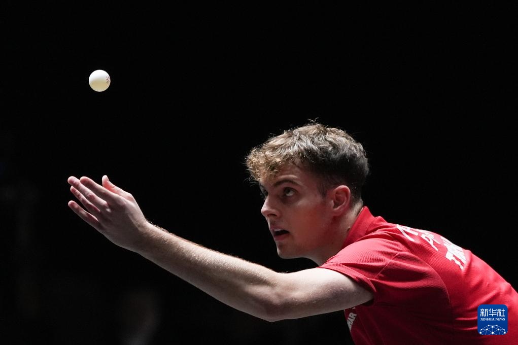 后排站位偶 后排站位偶